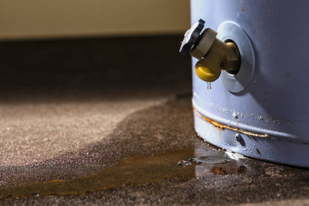 Best Water damage contractors near me  in Fort Belknap Agency, MT