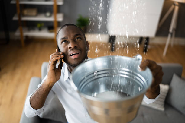 Best Mold removal after water damage  in Fort Belknap Agency, MT