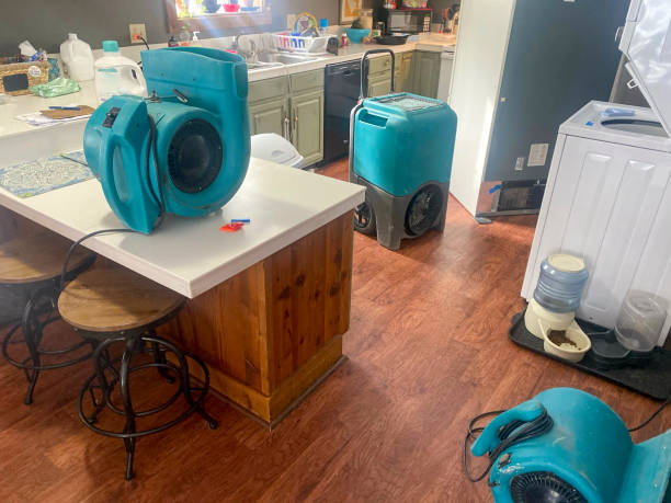 Best Fire Damage Restoration  in Fort Belknap Agency, MT
