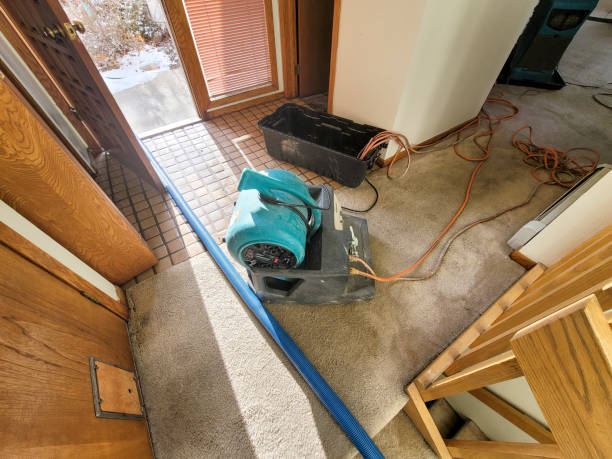 Best Water damage restoration insurance claims  in Fort Belknap Agency, MT