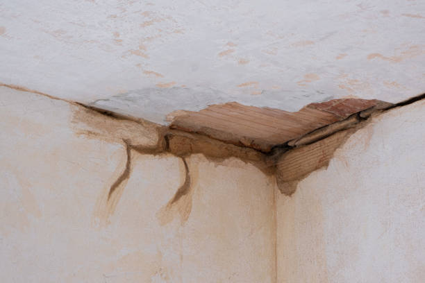 Best Residential water damage restoration  in Fort Belknap Agency, MT