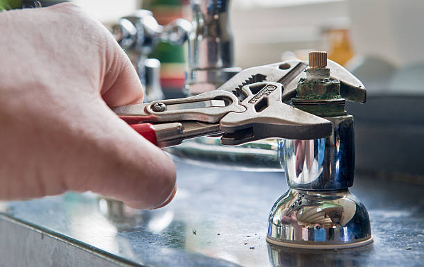 Best Water damage cleanup near me  in Fort Belknap Agency, MT