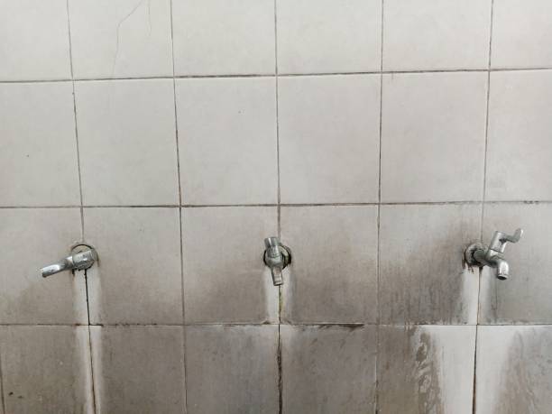 Best Sewage cleanup and water damage restoration  in Fort Belknap Agency, MT