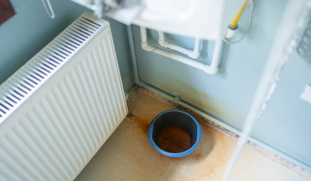 Best Professional water damage repair  in Fort Belknap Agency, MT