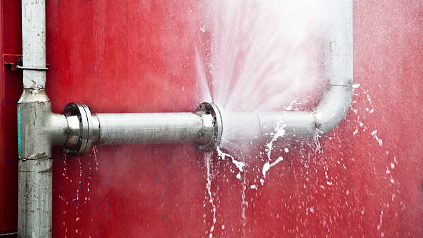 Best Water damage mitigation services  in Fort Belknap Agency, MT